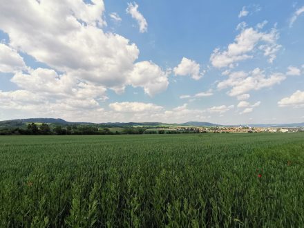 Jevíčko - jižní pohled